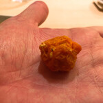 すし処 めくみ - なまこの卵巣