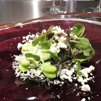 中土 - そら豆のエチュベにペコリーノチーズ・ベビーリーフ・オリーブオイルのパウダー