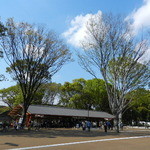 スターバックスコーヒー - 