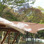 スターバックスコーヒー - 