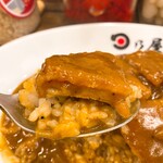 日乃屋カレー - 