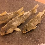 日本料理 晴山 - 