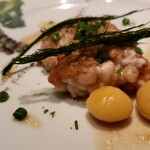 エノテカ・オルモ・デル・カウカソ - 