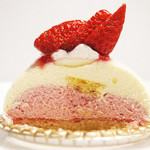 プティ・グラン - プランタニエの断面。('12 3月)