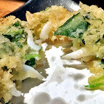 天ぷら処 こさか - 白魚かき揚げ（２０１２年４月）