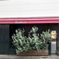 オッジ ダルマット 西麻布店 - 