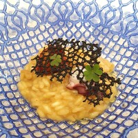 クイントカント - 