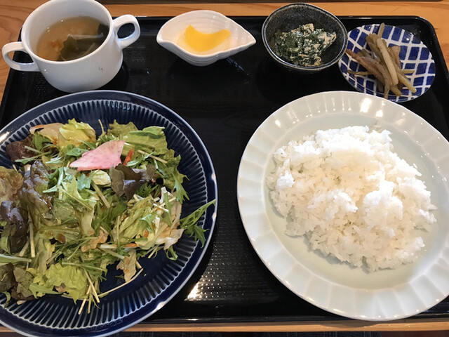 魚菜っぱ さかなっぱ 高知商業前 居酒屋 食べログ