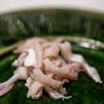 うを徳 - 2020.2 富津4.8kgトラフグ遠江