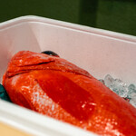 うを徳 - 2020.2 松輪メヌケ（魚体3.0kg）