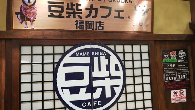 閉店 豆柴カフェ 福岡店 Mameshiba Cafe 天神 その他 食べログ 閉店 豆柴カフェ 福岡店 Mameshiba Cafe 天神 その他 食べログ