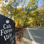 Forest Vale