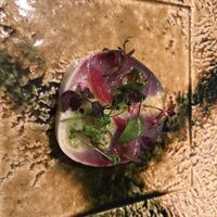 リストランテ・ホンダ - 