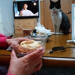 ベーカリーいずみ - プリンちゃん