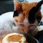 ベーカリーいずみ - プリンちゃん