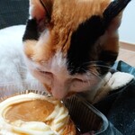 ベーカリーいずみ - プリンちゃん