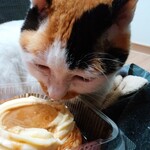 ベーカリーいずみ - プリンちゃん