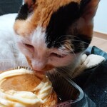 ベーカリーいずみ - プリンちゃん