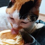 ベーカリーいずみ - プリンちゃん