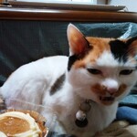 ベーカリーいずみ - プリンちゃん