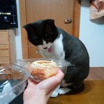 ベーカリーいずみ - プリンちゃん