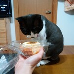 ベーカリーいずみ - プリンちゃん