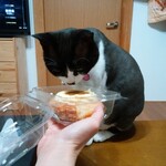 ベーカリーいずみ - プリンちゃん