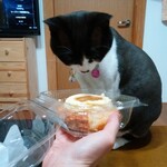 ベーカリーいずみ - プリンちゃん