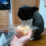 ベーカリーいずみ - プリンちゃん