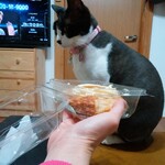 ベーカリーいずみ - プリンちゃん