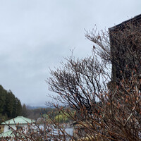 柳家 - 