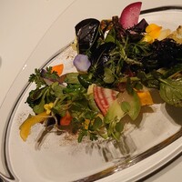 レフェルヴェソンス - 