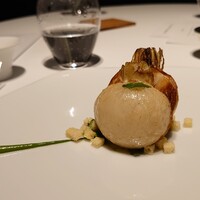 レフェルヴェソンス - 