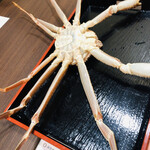 旬魚 たつみ - 活若松葉蟹