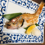 旬魚 たつみ - のどぐろ一本