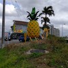パイナップルハウス