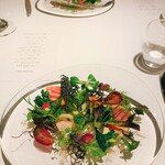 レフェルヴェソンス - 