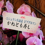 かねとも寿し - 