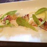 ルブルヴァール - ホタルイカがおいしかった