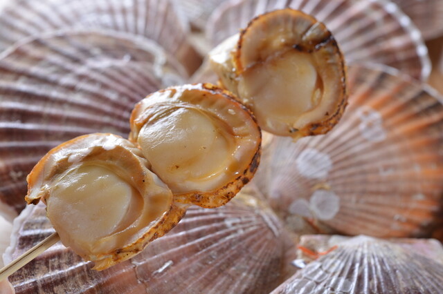 道の駅　あぷた - 有珠（道の駅）の写真