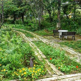 バンディア（Bandia） - 猪苗代（カフェ）の写真