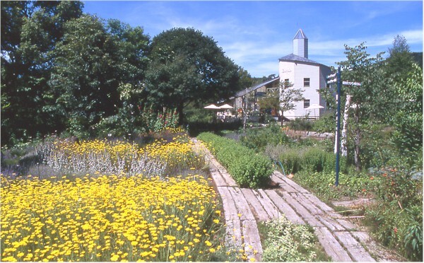 バンディア（Bandia） - 猪苗代（カフェ）の写真
