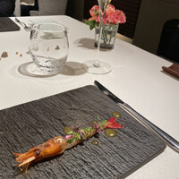 ジョンティ アッシュ - 