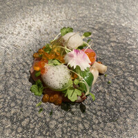 ジョンティ アッシュ - 