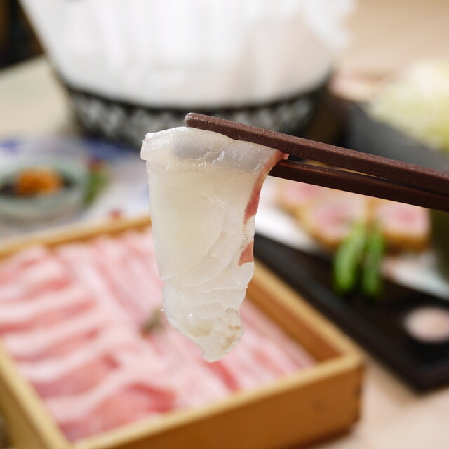 【旬】鯛のお刺身しゃぶしゃぶ×昆布出汁豚しゃぶ