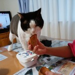 ベーカリーいずみ - 食べてみた