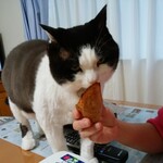 ベーカリーいずみ - 食べてみた