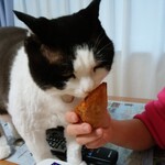 ベーカリーいずみ - 食べてみた