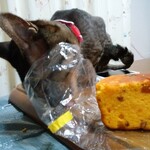 ベーカリーいずみ - 食べてみた