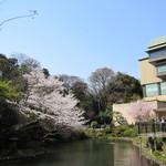ル・ジャルダン - 庭園をお散歩。桜もみごろ。